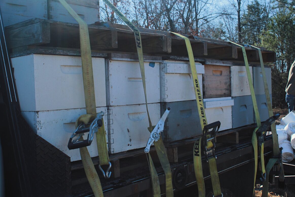 Beehives loaded on the truck